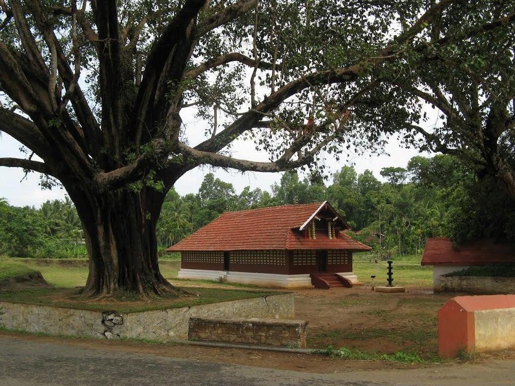Wayanad Gate Resort Mananthavady Εξωτερικό φωτογραφία