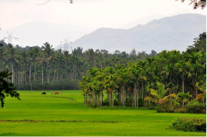 Wayanad Gate Resort Mananthavady Εξωτερικό φωτογραφία