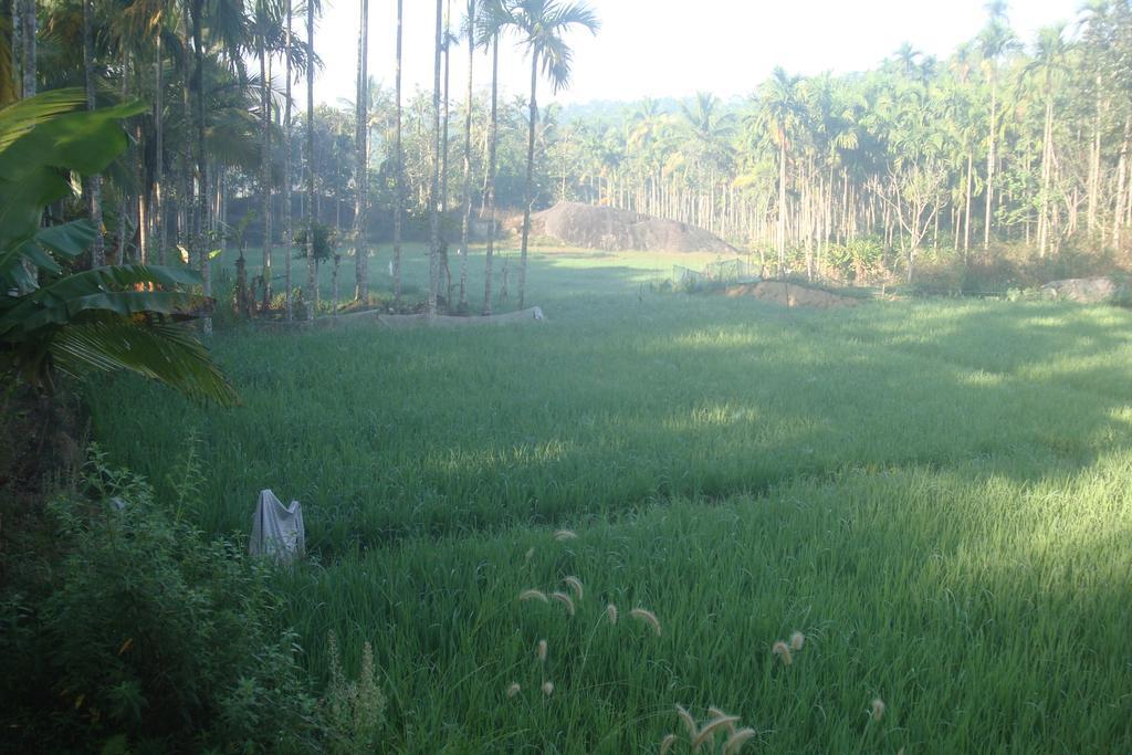 Wayanad Gate Resort Mananthavady Εξωτερικό φωτογραφία